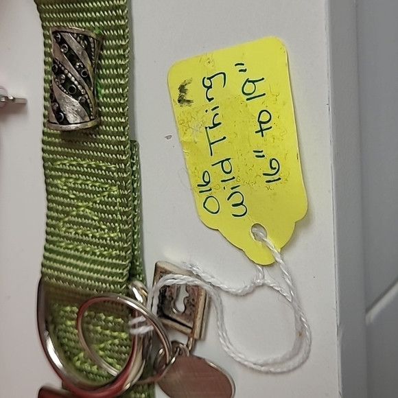 CUSTOMIZED Dog Collar Wild Thing Cub Green with Bling and Black Spikes - Picture 13 of 16